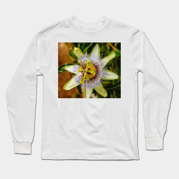 lbs passion fruit Long Sleeve T-Shirt by pcfyi